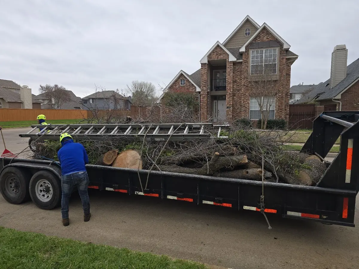 Expert Tree Removal with proper safety equipment in Casa Blanca